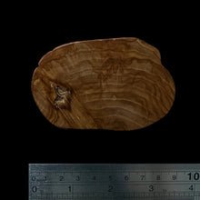 Load image into Gallery viewer, BMSWS101 Black Meat Figured Mysore Sandalwood Slice 9.5mm Thickness 29.5 grams
