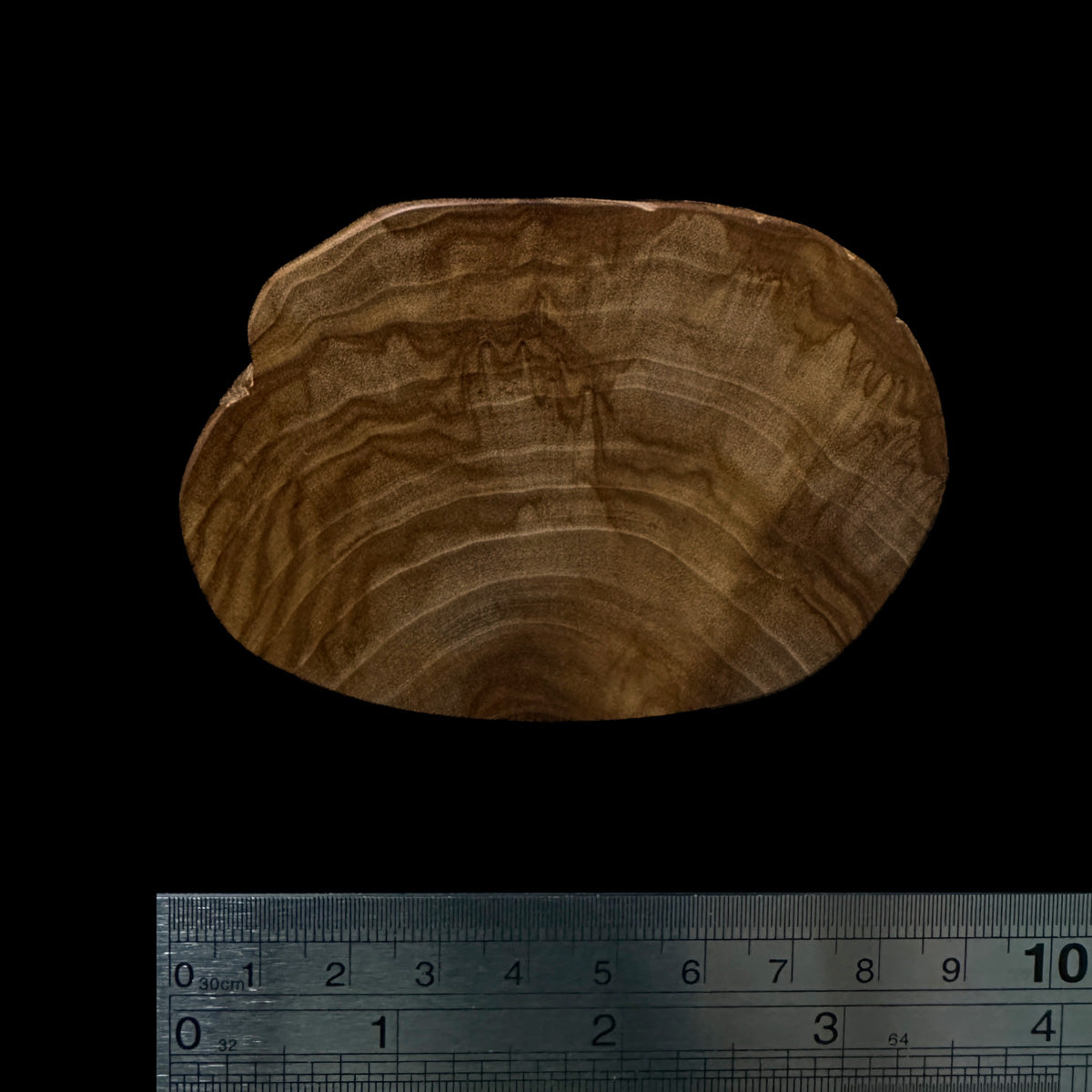 BMSWS101 Black Meat Figured Mysore Sandalwood Slice 9.5mm Thickness 29.5 grams