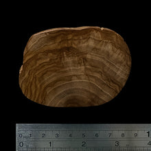 Load image into Gallery viewer, BMSWS104 Black Meat Figured Mysore Sandalwood Slice 8.8mm Thickness 26.8 grams
