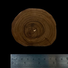 Load image into Gallery viewer, BMSWS110 Black Meat Figured Mysore Sandalwood Slab 11.1mm Thickness 36.8 grams
