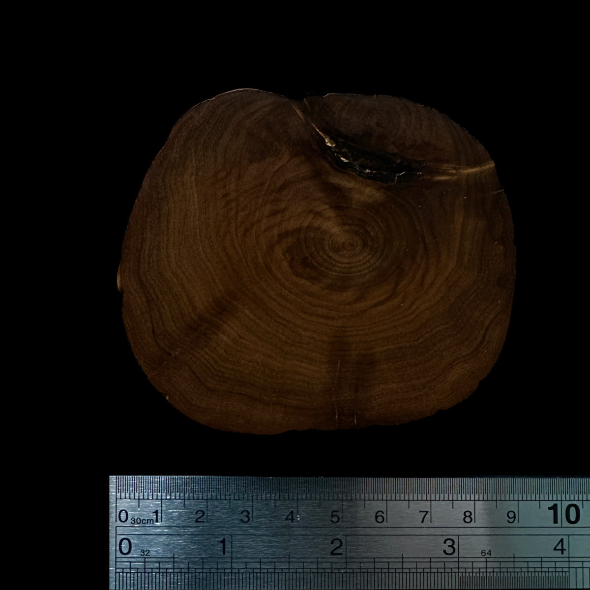 BMSWS182 Black Meat Figured Mysore Sandalwood Slice 7.7mm Thickness 36.3 grams