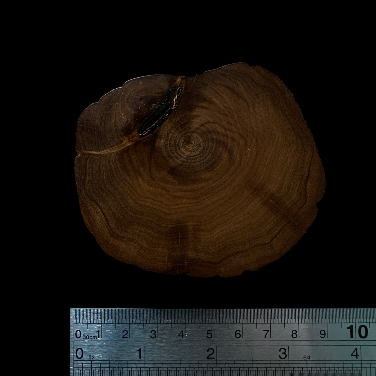 BMSWS183 Black Meat Figured Mysore Sandalwood Slice 7.6mm Thickness 36.2 grams