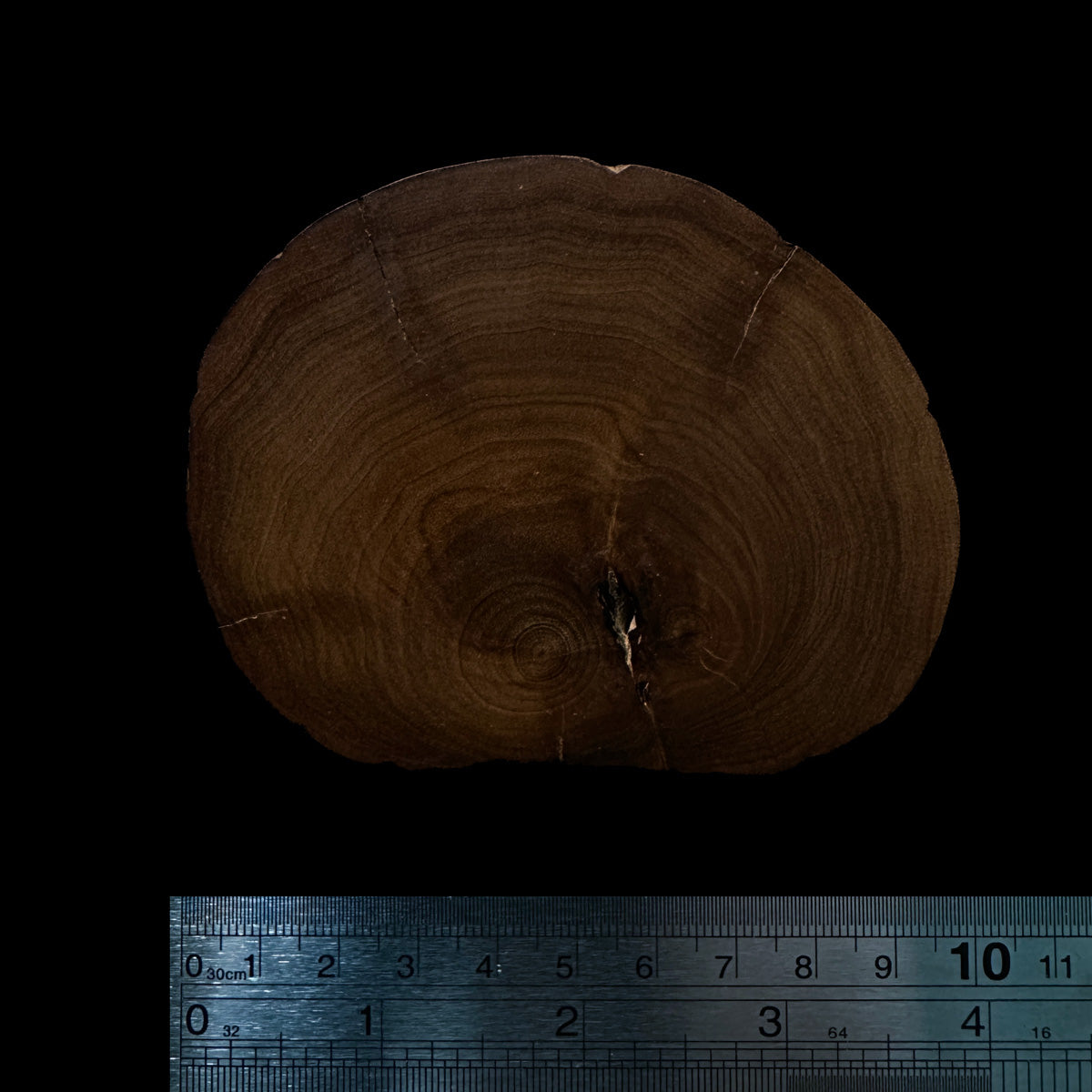 BMSWS184 Black Meat Figured Mysore Sandalwood Slice 7.6mm Thickness 38.8 grams