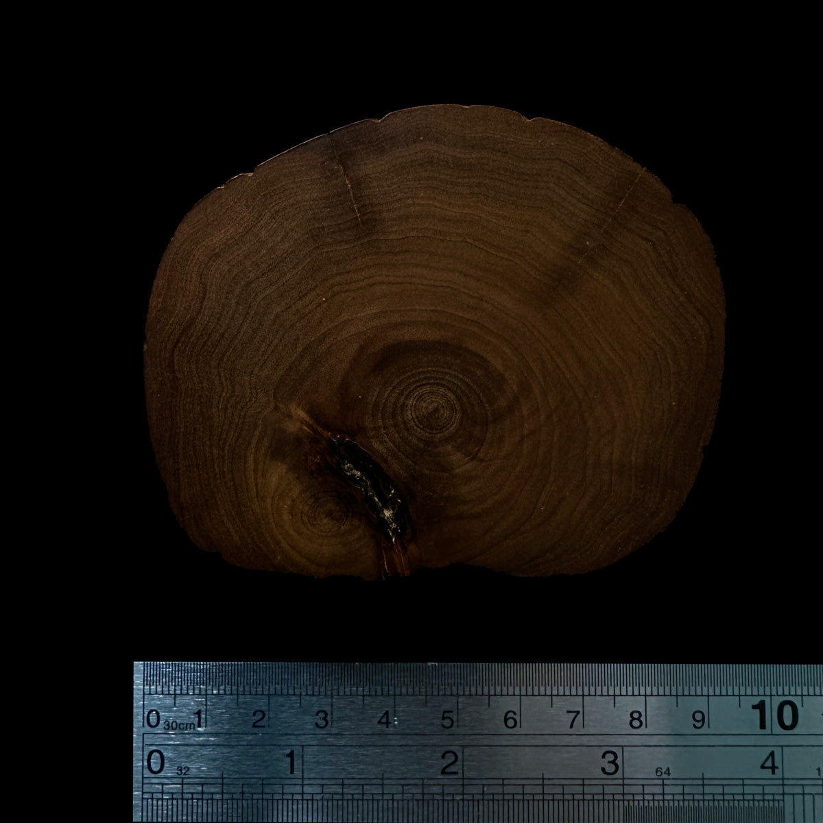 BMSWS185 Black Meat Figured Mysore Sandalwood Slice 7.6mm Thickness 36.6 grams