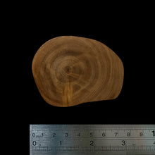 Load image into Gallery viewer, BMSWS083 Black Meat Figured Mysore Sandalwood Slice 5.7mm Thickness 15.5 grams
