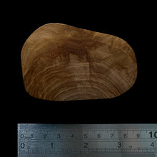 Load image into Gallery viewer, BMSWS096 Black Meat Figured Mysore Sandalwood Slice 9.4mm Thickness 29.5 grams
