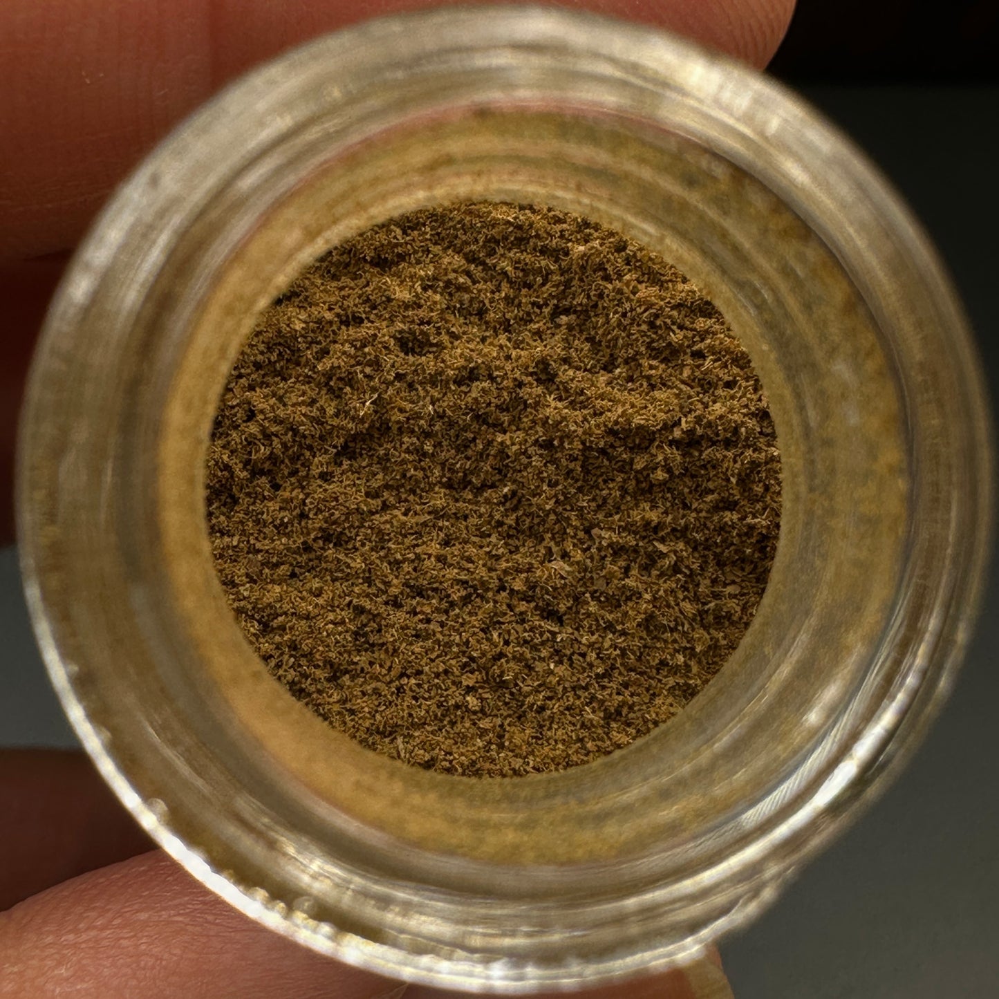 Wild Brunei K Powder 5 grams