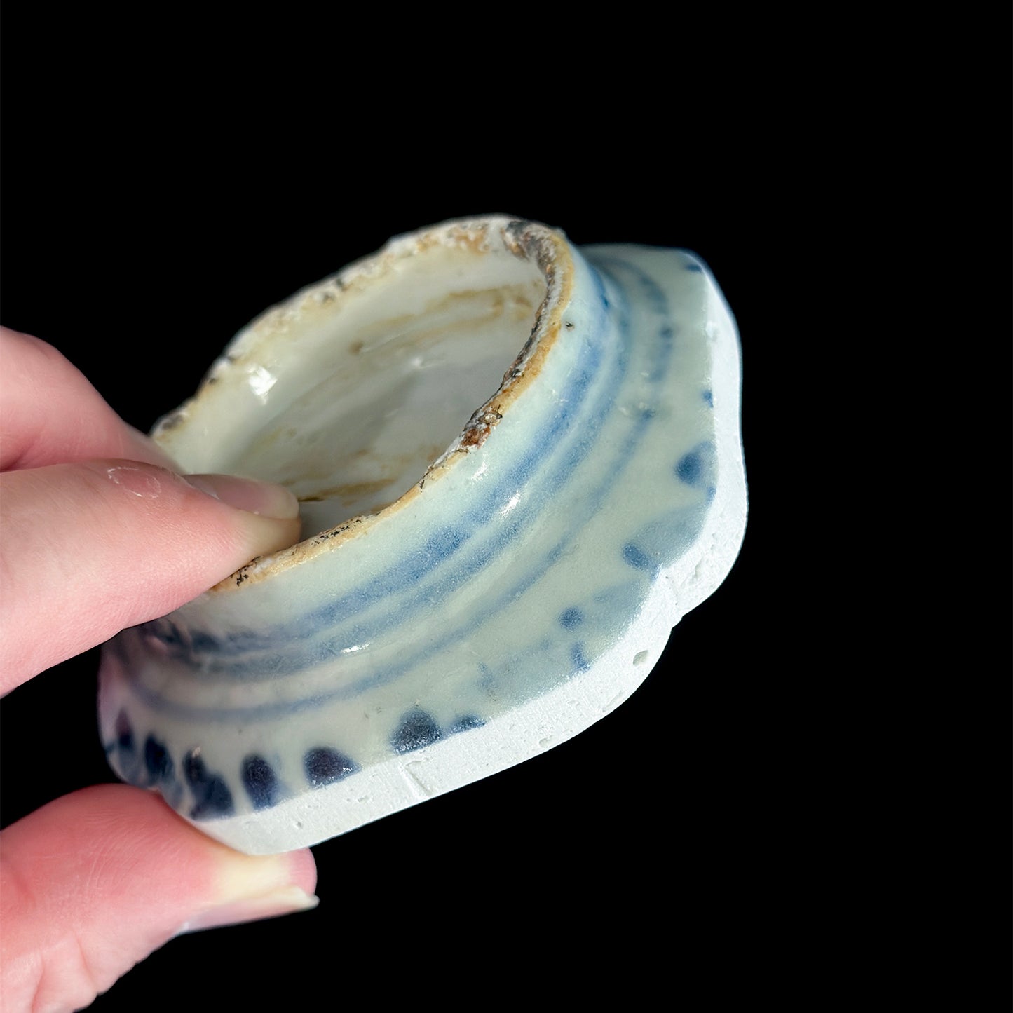 Voyager’s Blue & White (1)