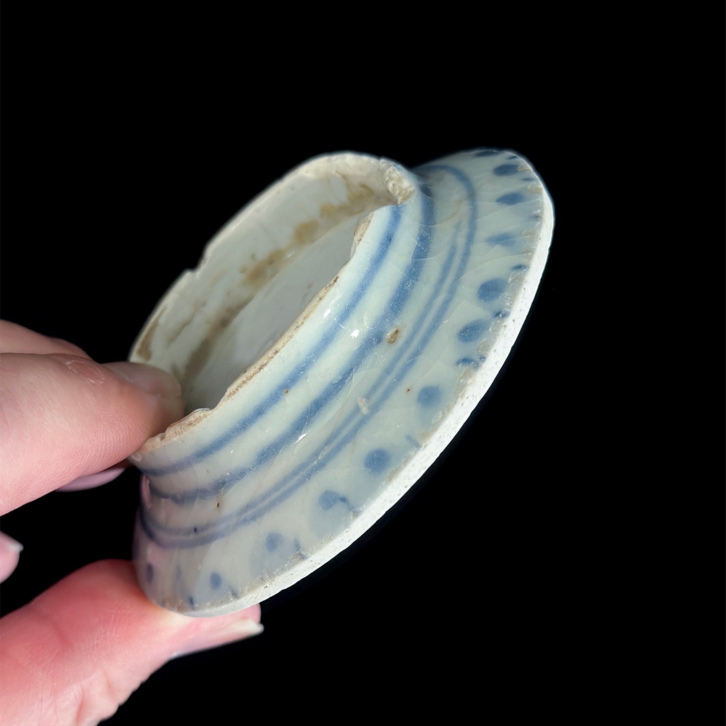 Voyager’s Blue & White (2)