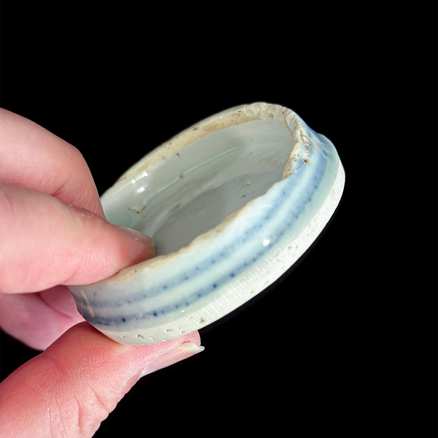 Voyager’s Blue & White (8)