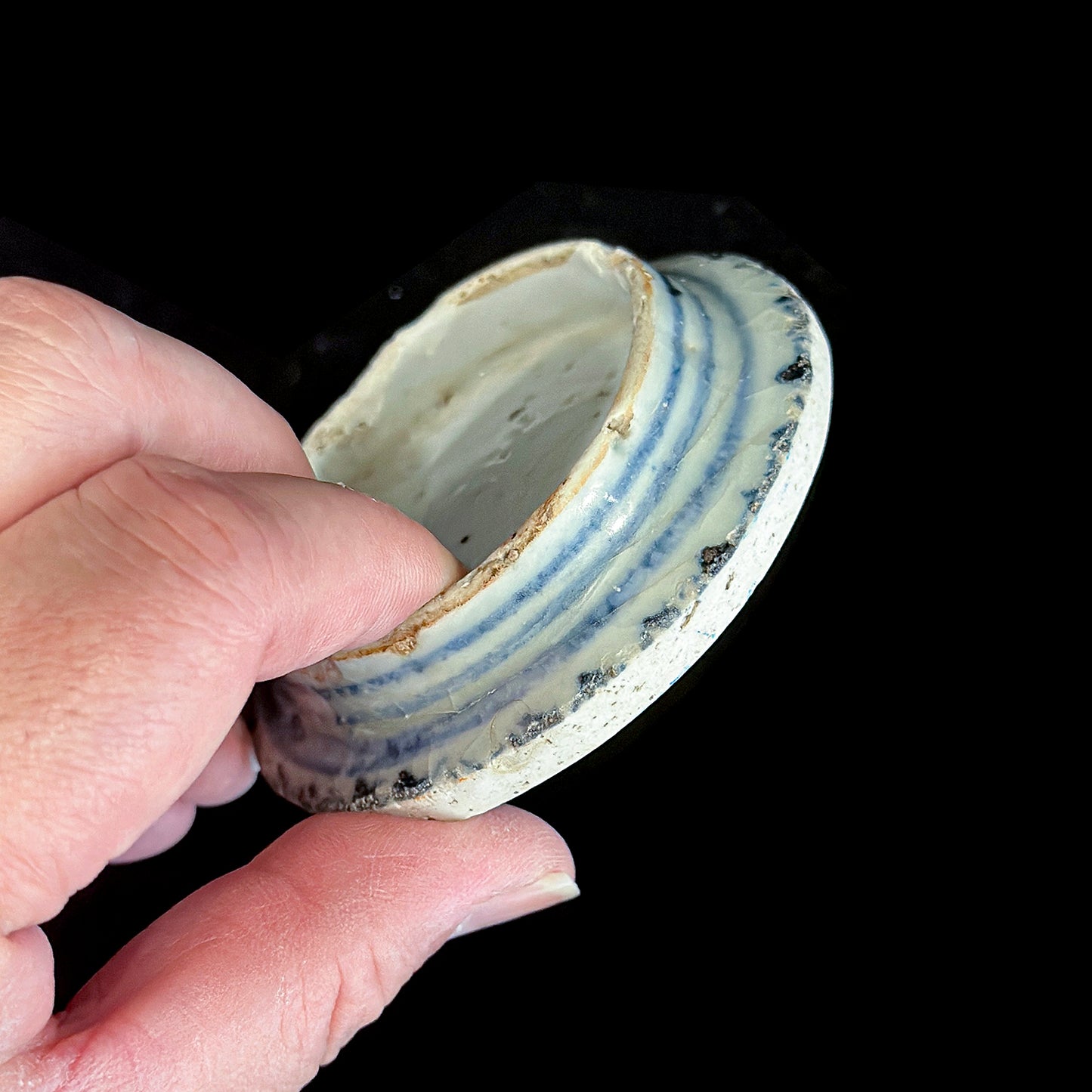 Voyager’s Blue & White (11)