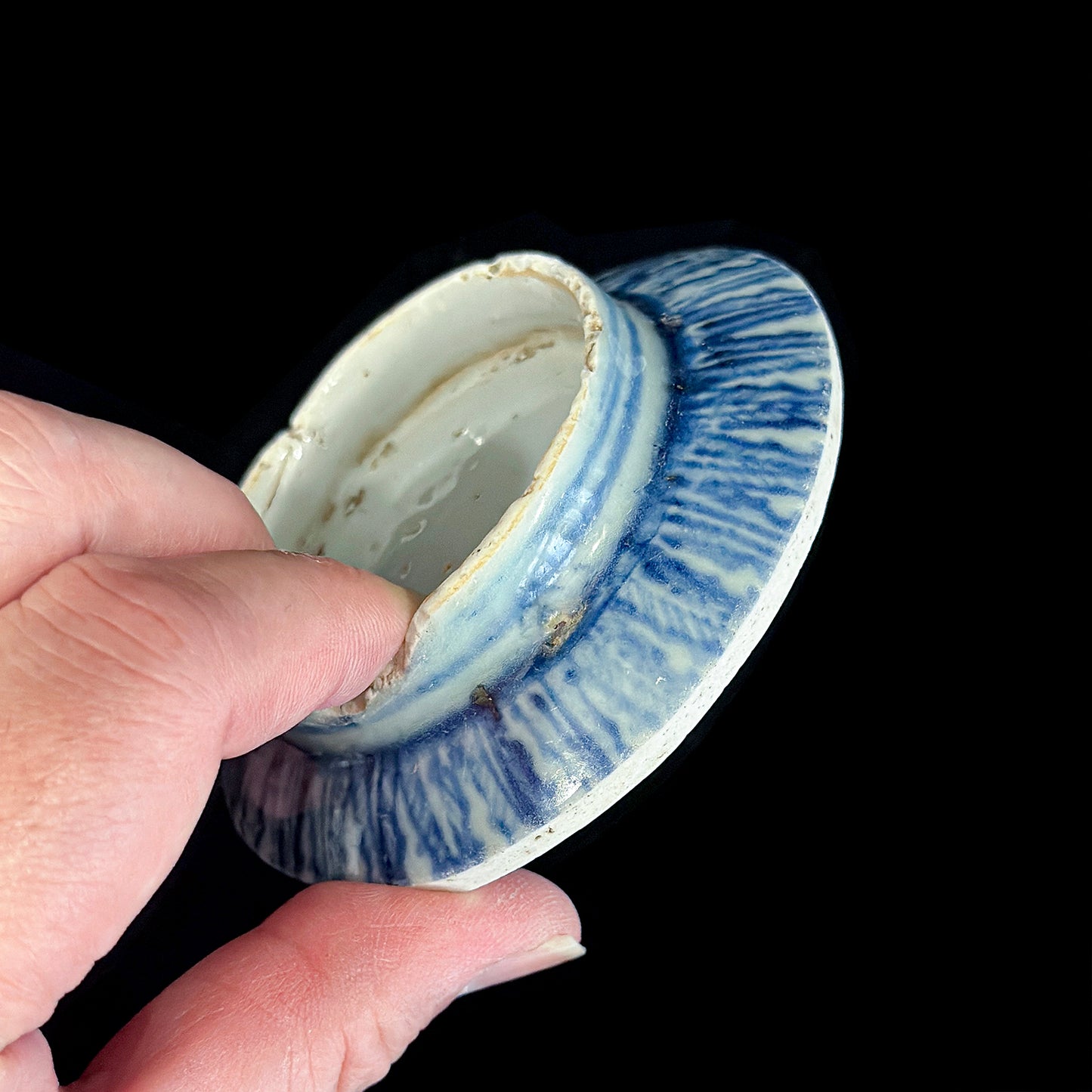 Voyager’s Blue & White (13)