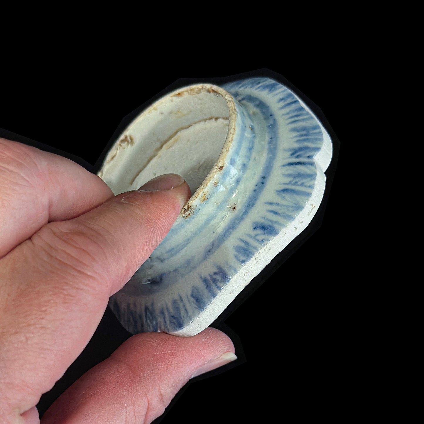 Voyager’s Blue & White (14)