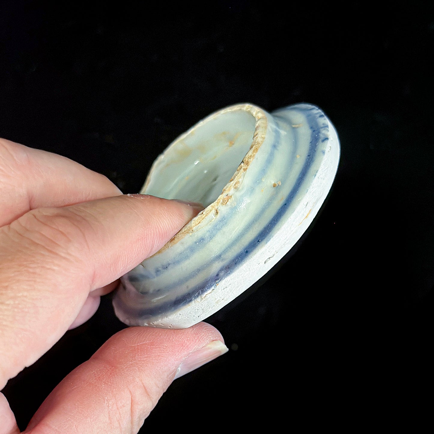 Voyager’s Blue & White (24)