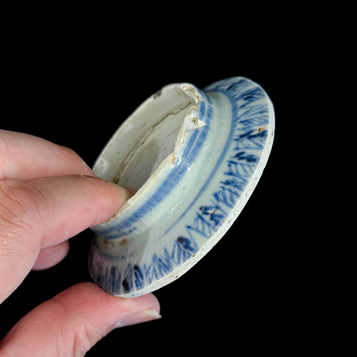 Voyager’s Blue & White (25)