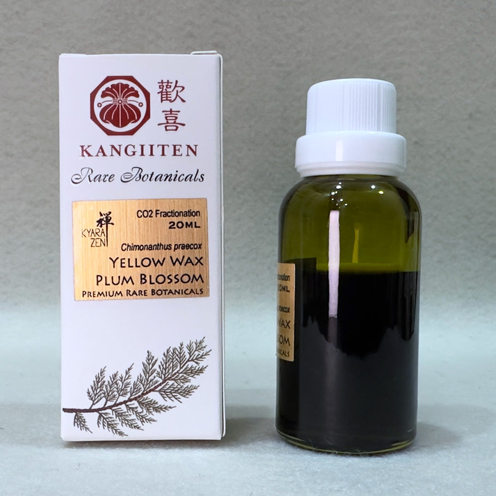 Yellow Wax Plum Blossom 20ml (CO2 Fractionation)