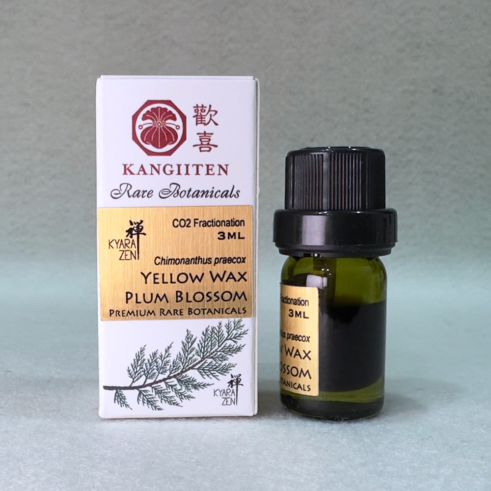 Yellow Wax Plum Blossom 3ml (CO2 Fractionation)