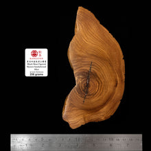 Load image into Gallery viewer, BMSWS075 Black Meat Figured Mysore Sandalwood Slice 30mm Thickness 258 grams
