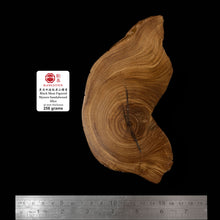 Load image into Gallery viewer, BMSWS075 Black Meat Figured Mysore Sandalwood Slice 30mm Thickness 258 grams
