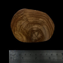 Load image into Gallery viewer, BMSWS105 Black Meat Figured Mysore Sandalwood Slice 9mm Thickness 28.5 grams
