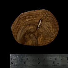 Load image into Gallery viewer, BMSWS105 Black Meat Figured Mysore Sandalwood Slice 9mm Thickness 28.5 grams
