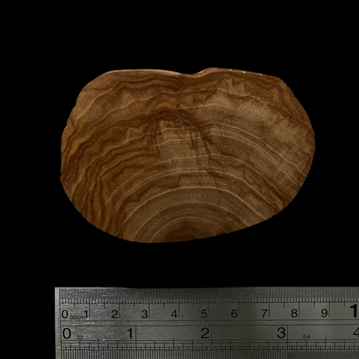 BMSWS106 Black Meat Figured Mysore Sandalwood Slice 9.5mm Thickness 27.6 grams