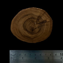 Load image into Gallery viewer, BMSWS108 Black Meat Figured Mysore Sandalwood Slab 11.5mm Thickness 37 grams
