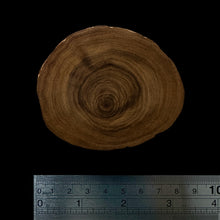 Load image into Gallery viewer, BMSWS108 Black Meat Figured Mysore Sandalwood Slab 11.5mm Thickness 37 grams
