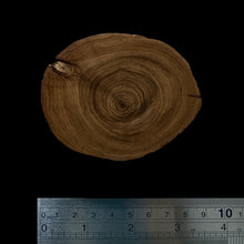 Load image into Gallery viewer, BMSWS111 Black Meat Figured Mysore Sandalwood Slab 11.2mm Thickness 38.5 grams
