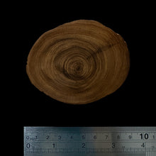 Load image into Gallery viewer, BMSWS111 Black Meat Figured Mysore Sandalwood Slab 11.2mm Thickness 38.5 grams
