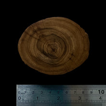 Load image into Gallery viewer, BMSWS121 Black Meat Figured Mysore Sandalwood Slab 11.4mm Thickness 38.5 grams
