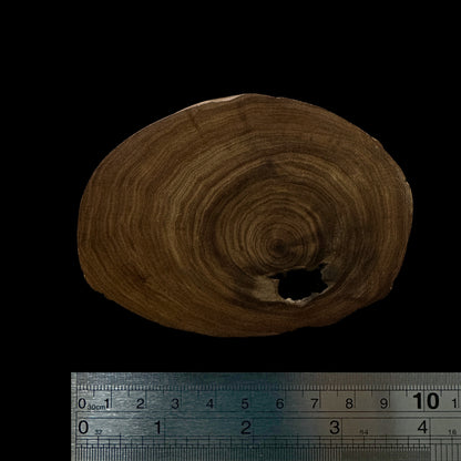 BMSWS123 Black Meat Figured Mysore Sandalwood Slab 11.1mm Thickness 40.7 grams