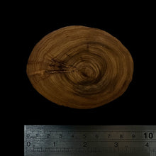 Load image into Gallery viewer, BMSWS128 Black Meat Figured Mysore Sandalwood Slab 11.5mm Thickness 39.8 grams
