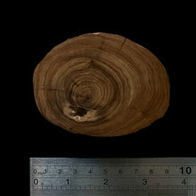 Load image into Gallery viewer, BMSWS132 Black Meat Figured Mysore Sandalwood Slab 11.6mm Thickness 40.8 grams
