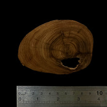 Load image into Gallery viewer, BMSWS134 Black Meat Figured Mysore Sandalwood Slab 11.5mm Thickness 44 grams
