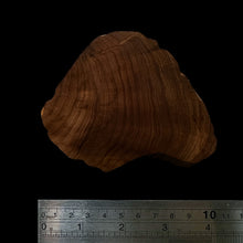 Load image into Gallery viewer, BMSWS138 Black Meat Figured Mysore Sandalwood Slab 8mm Thickness 51 grams
