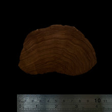 Load image into Gallery viewer, BMSWS139 Black Meat Figured Mysore Sandalwood Slab 7.8mm Thickness 38 grams
