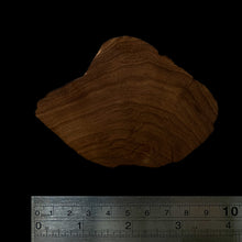 Load image into Gallery viewer, BMSWS142 Black Meat Figured Mysore Sandalwood Slab 7.8mm Thickness 31.8 grams
