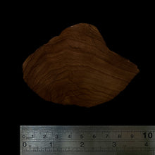 Load image into Gallery viewer, BMSWS142 Black Meat Figured Mysore Sandalwood Slab 7.8mm Thickness 31.8 grams
