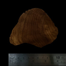 Load image into Gallery viewer, BMSWS143 Black Meat Figured Mysore Sandalwood Slab 7.9mm Thickness 49 grams
