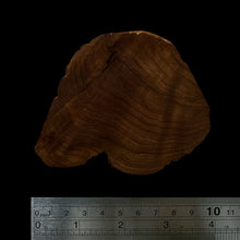 Load image into Gallery viewer, BMSWS145 Black Meat Figured Mysore Sandalwood Slab 7.8mm Thickness 46.1 grams
