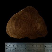 Load image into Gallery viewer, BMSWS148 Black Meat Figured Mysore Sandalwood Slab 8mm Thickness 53.1 grams
