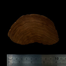 Load image into Gallery viewer, BMSWS150 Black Meat Figured Mysore Sandalwood Slab 7.8mm Thickness 37.8 grams

