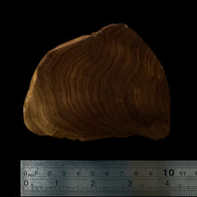 Load image into Gallery viewer, BMSWS151 Black Meat Figured Mysore Sandalwood Slab 8mm Thickness 50.8 grams
