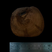 Load image into Gallery viewer, BMSWS180 Black Meat Figured Mysore Sandalwood Slice 7.8mm Thickness 36.8 grams
