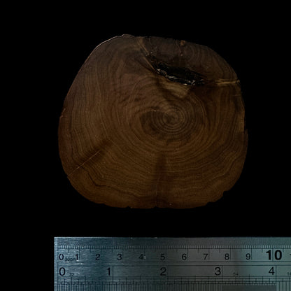 BMSWS180 Black Meat Figured Mysore Sandalwood Slice 7.8mm Thickness 36.8 grams