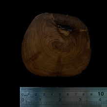 Load image into Gallery viewer, BMSWS181 Black Meat Figured Mysore Sandalwood Slice 7.6mm Thickness 35.7 grams
