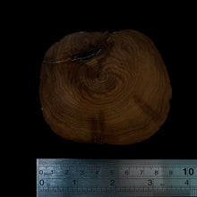 Load image into Gallery viewer, BMSWS182 Black Meat Figured Mysore Sandalwood Slice 7.7mm Thickness 36.3 grams
