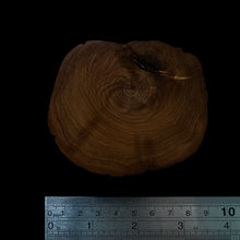 Load image into Gallery viewer, BMSWS183 Black Meat Figured Mysore Sandalwood Slice 7.6mm Thickness 36.2 grams
