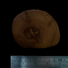 Load image into Gallery viewer, BMSWS186 Black Meat Figured Mysore Sandalwood Slice 7.6mm Thickness 41.2 grams
